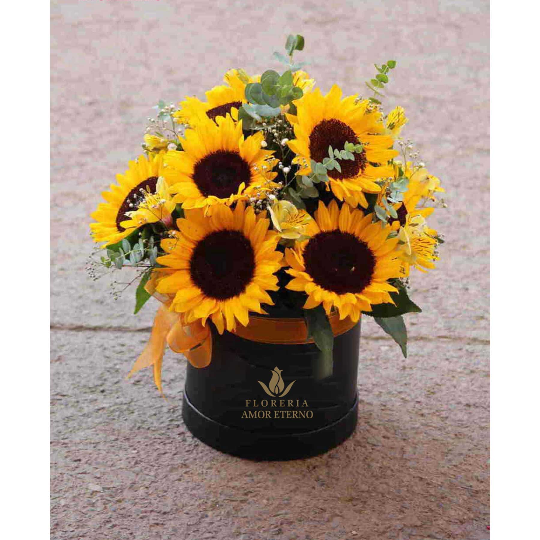 Girasoles