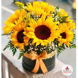 box con 9 girasoles