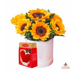 box de girasoles mas chocolate iberica 80gr