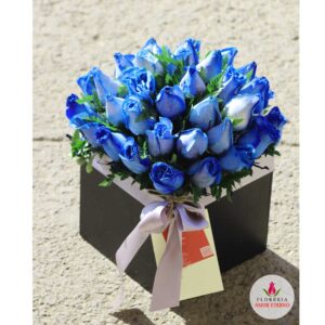 24 rosas azules