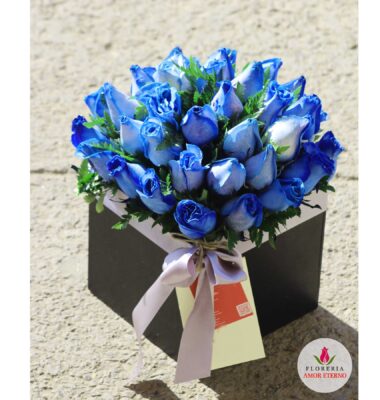 24 rosas azules