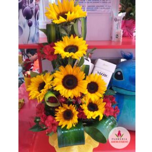 Girasoles con chocolate Vizzio