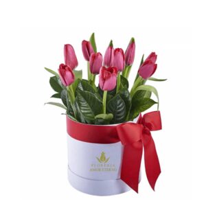 tulipanes en cusco