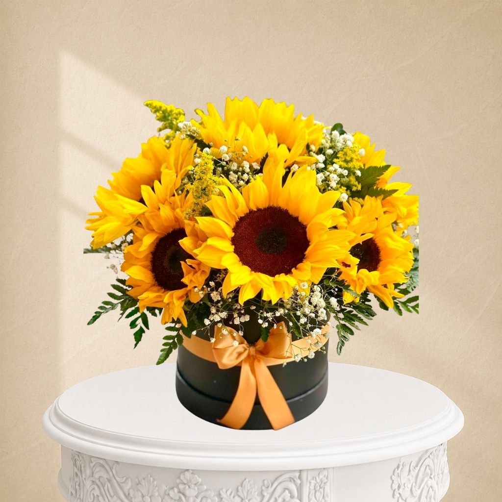 box con 9 girasoles